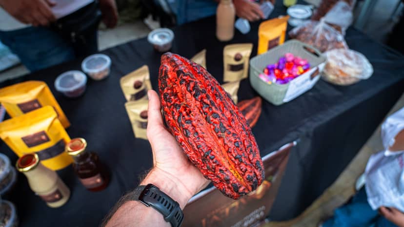 Cacao
