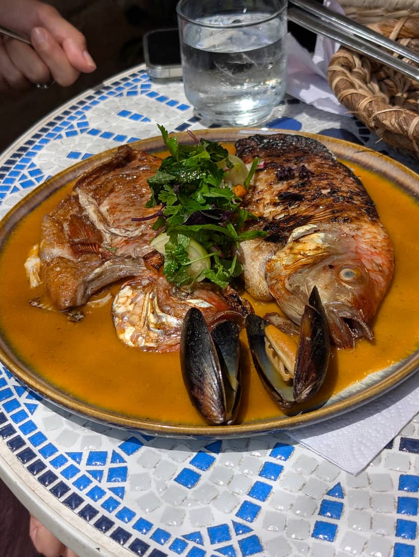 Tilapia