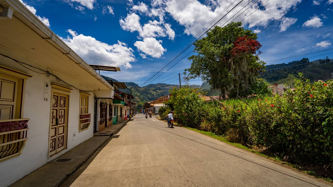 Jardín