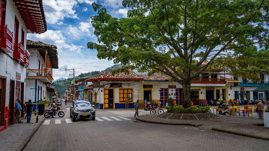 Jardín