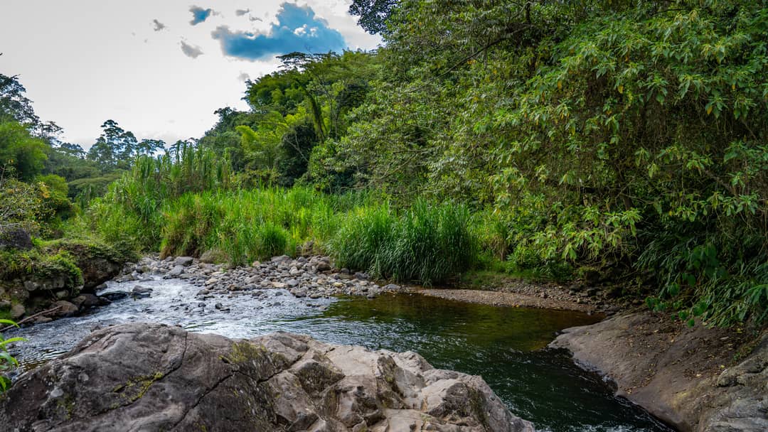 Jardín