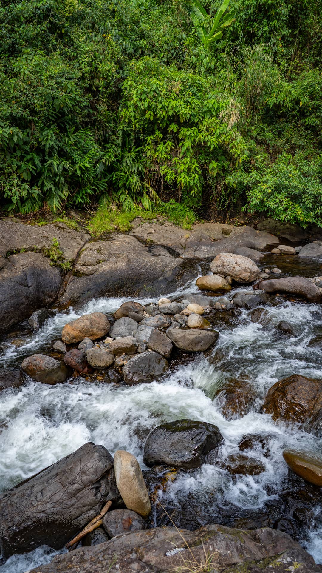 Jardín