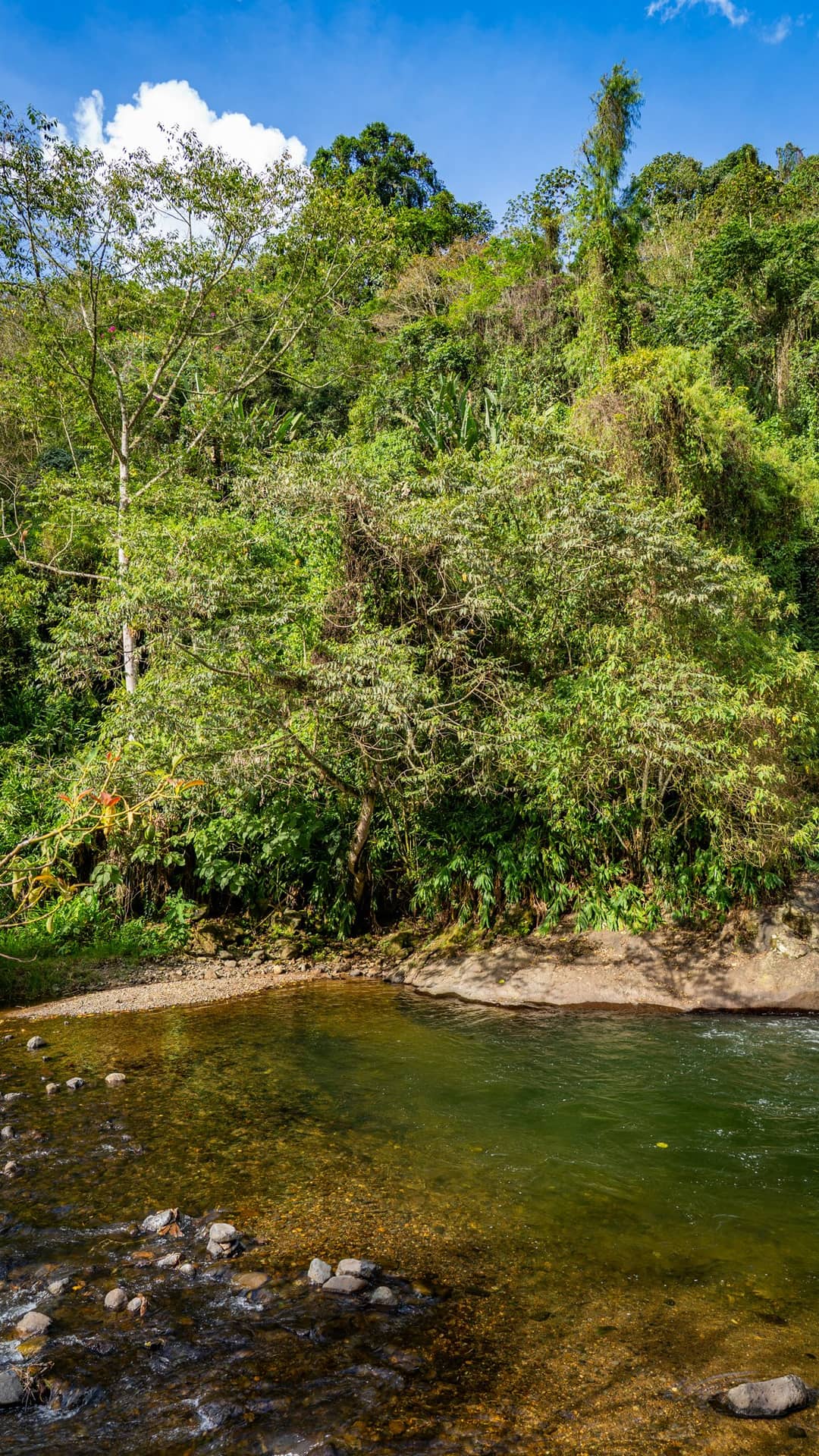 Jardín