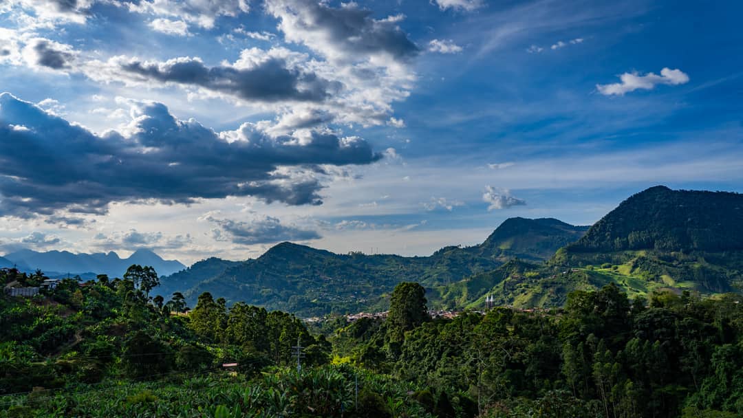 Jardín