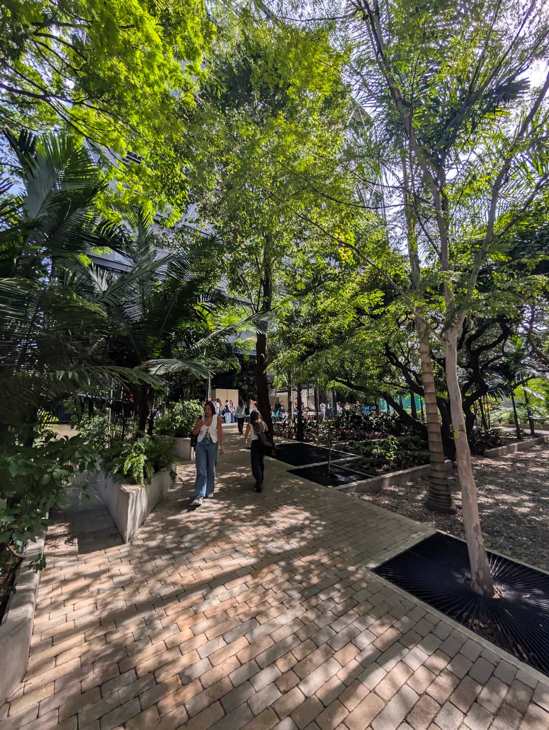 The campus promenade at midday.