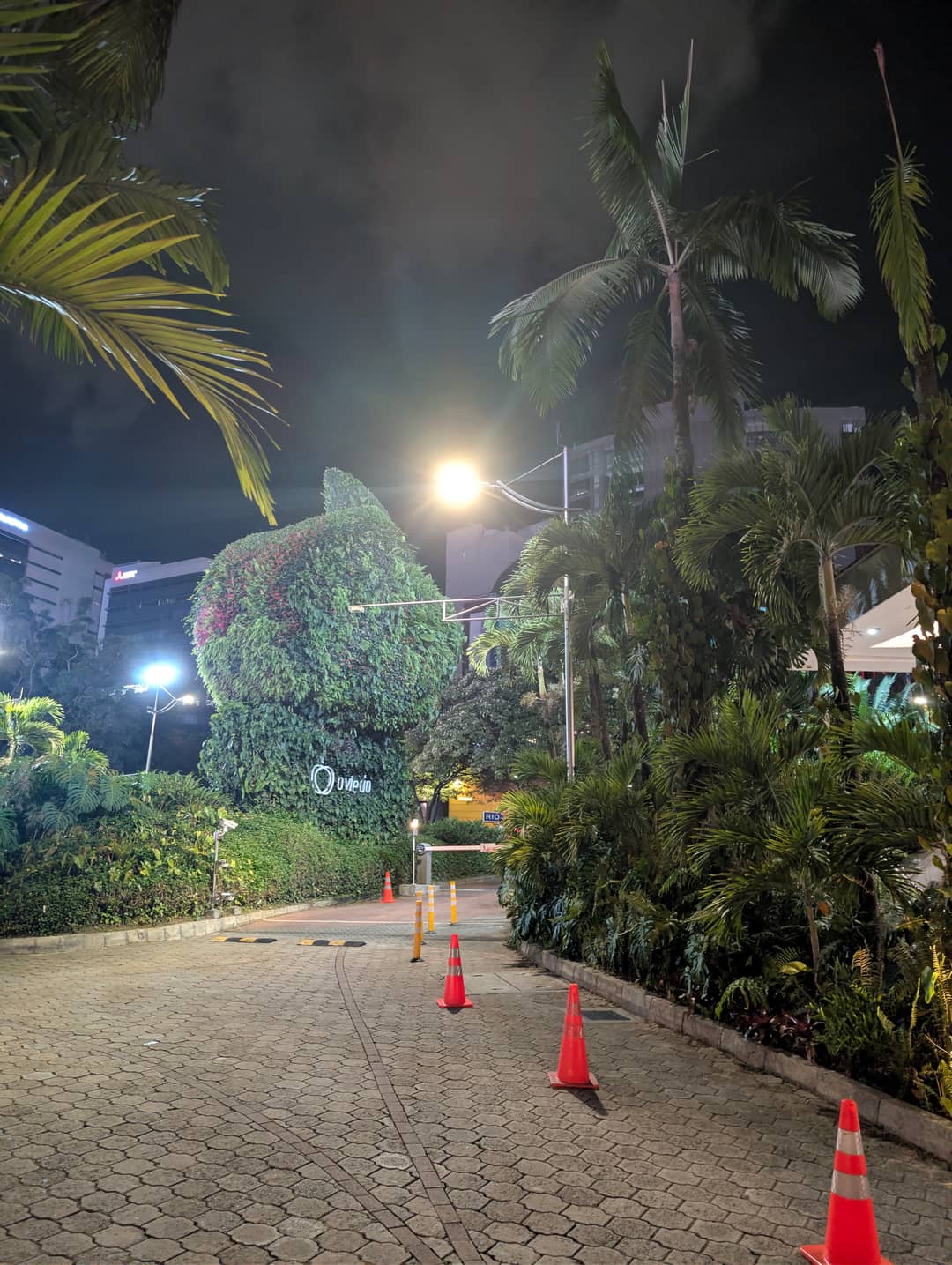 Outside the cinema, ten at night.