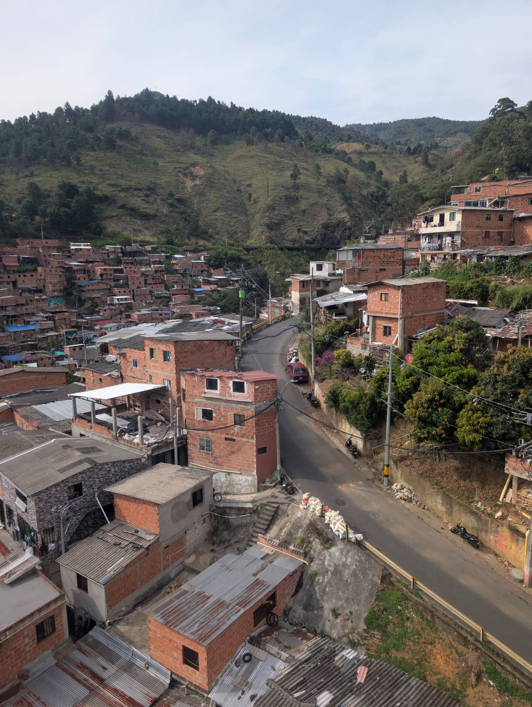 The end of the city: forest starts behind the last houses.