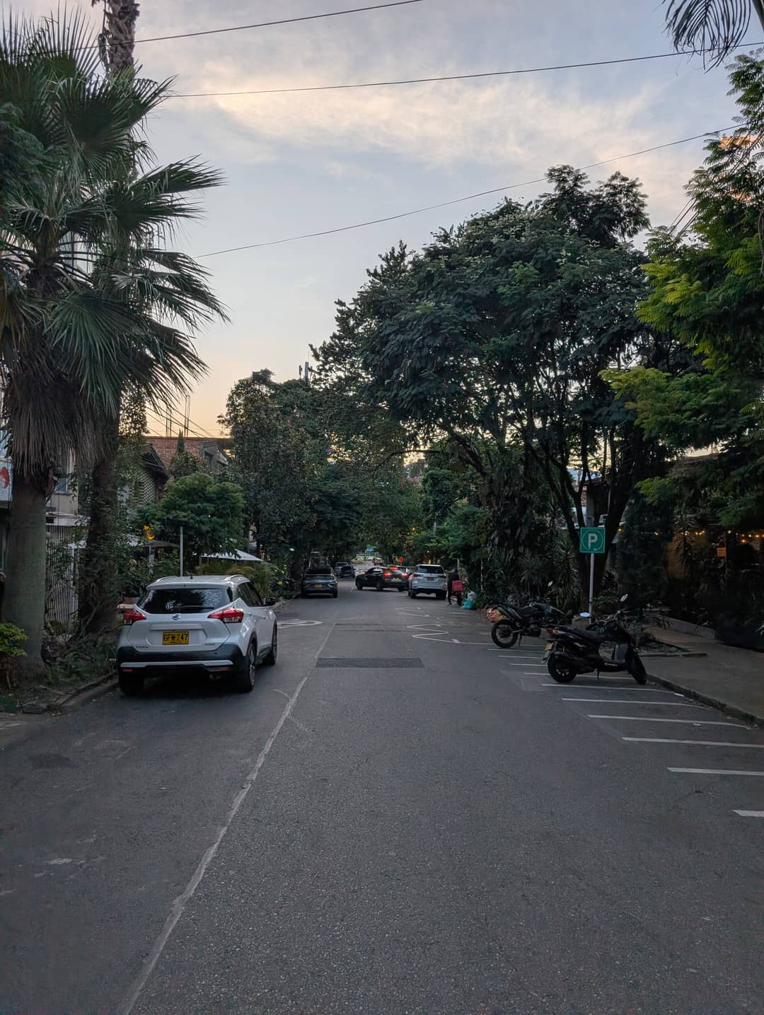 A street with palms. At six in the evening it is still empty.