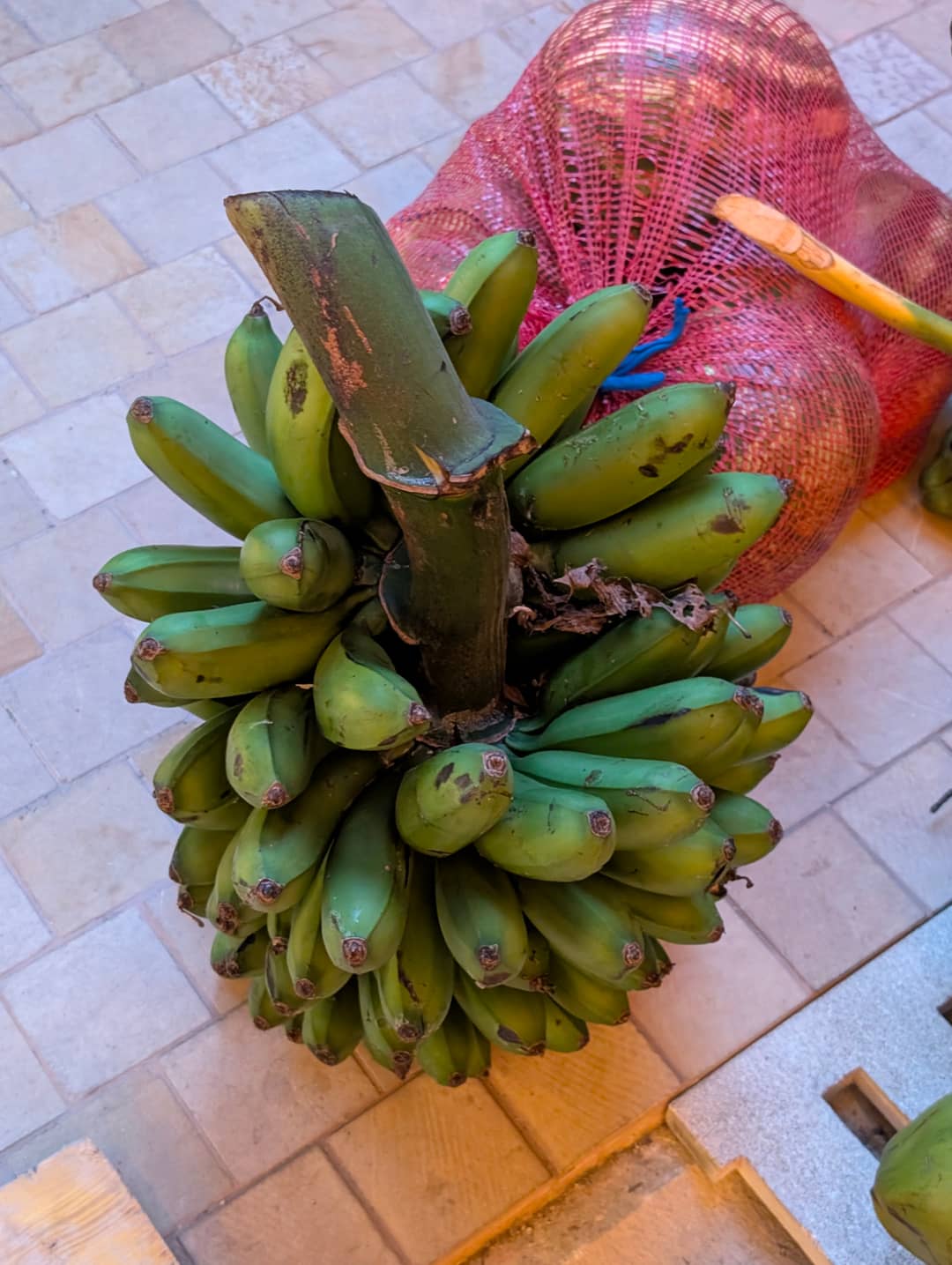 Coconuts and bananas on the pavement. A stall without a stall.