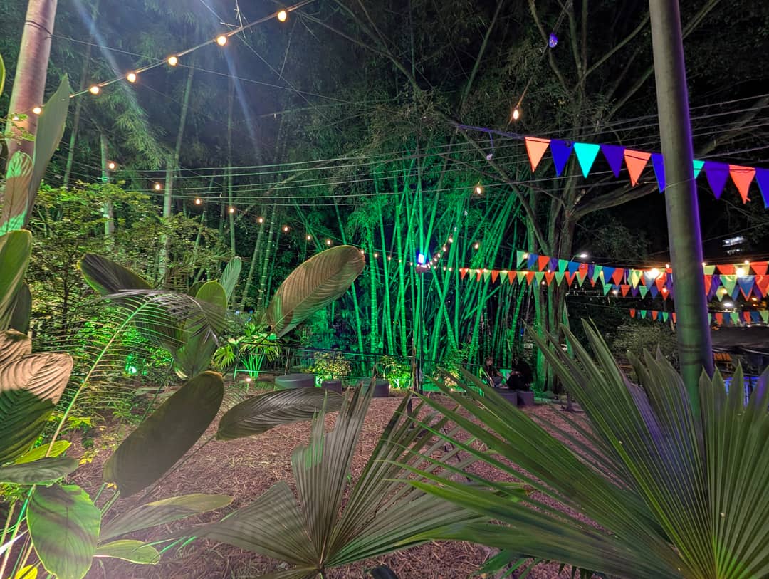 A bamboo grove in the middle of a venue, lit green.