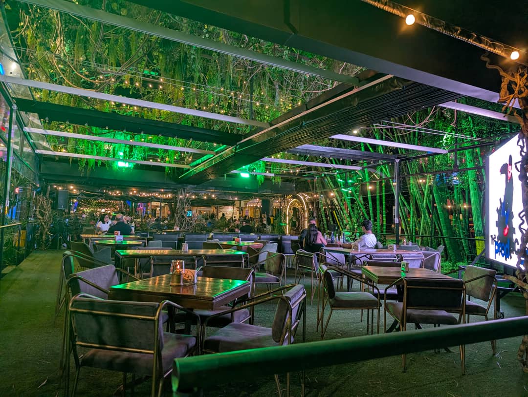 A garden under a transparent roof.