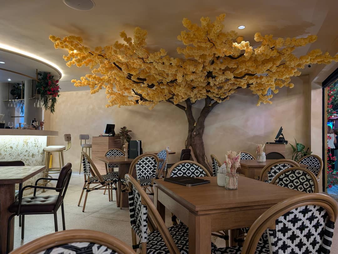Inside the place where I had dinner. A tree in the middle of the room.