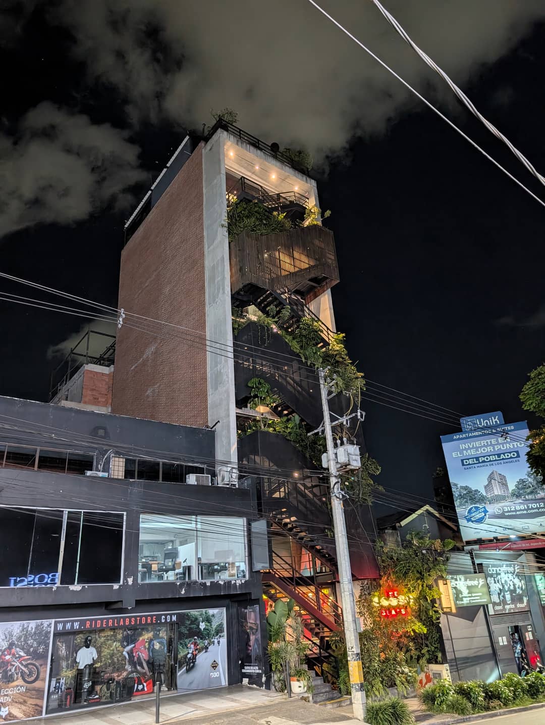A building with a staircase overgrown with plants.