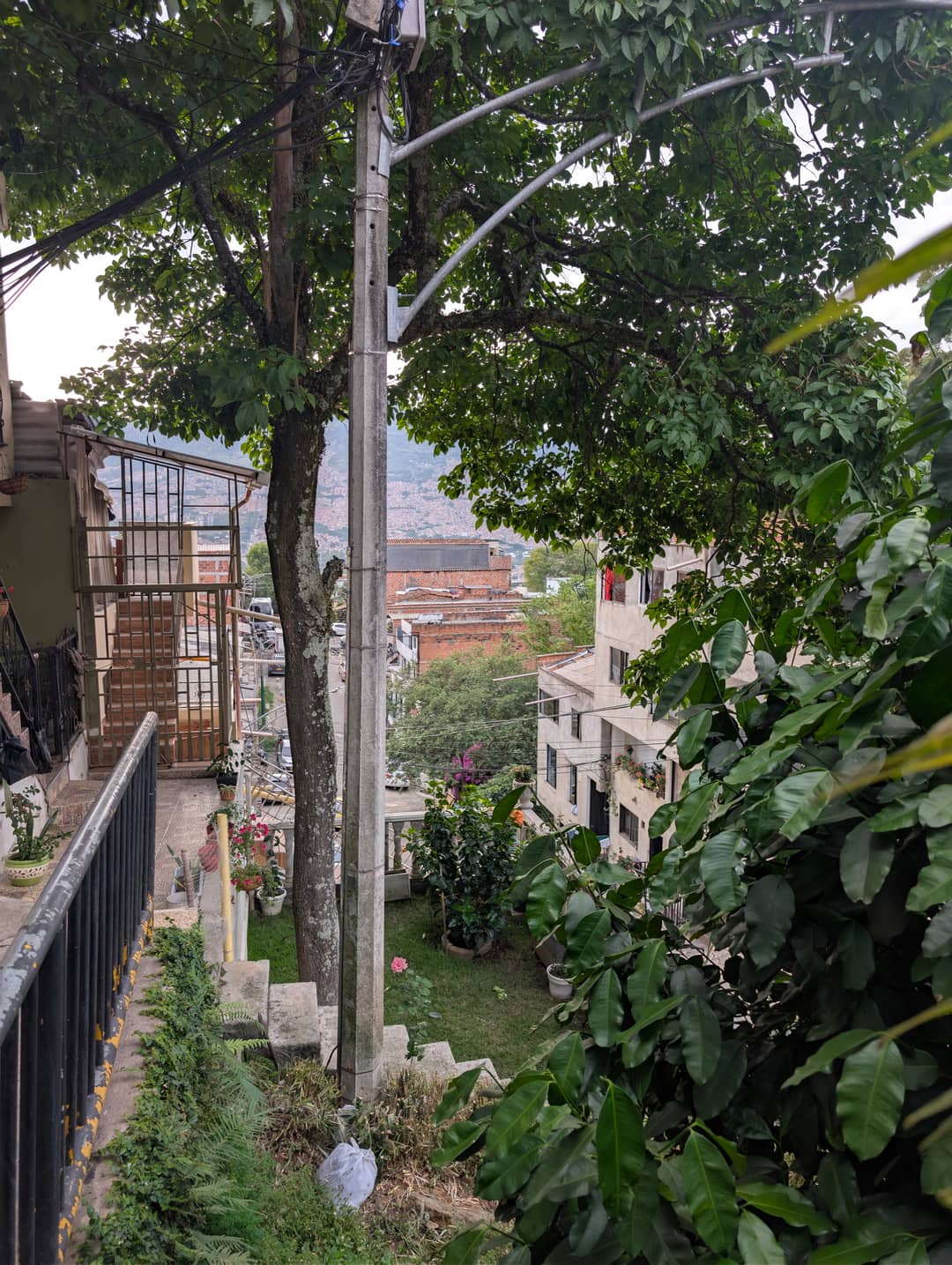 Greenery between the houses and a view into the valley.