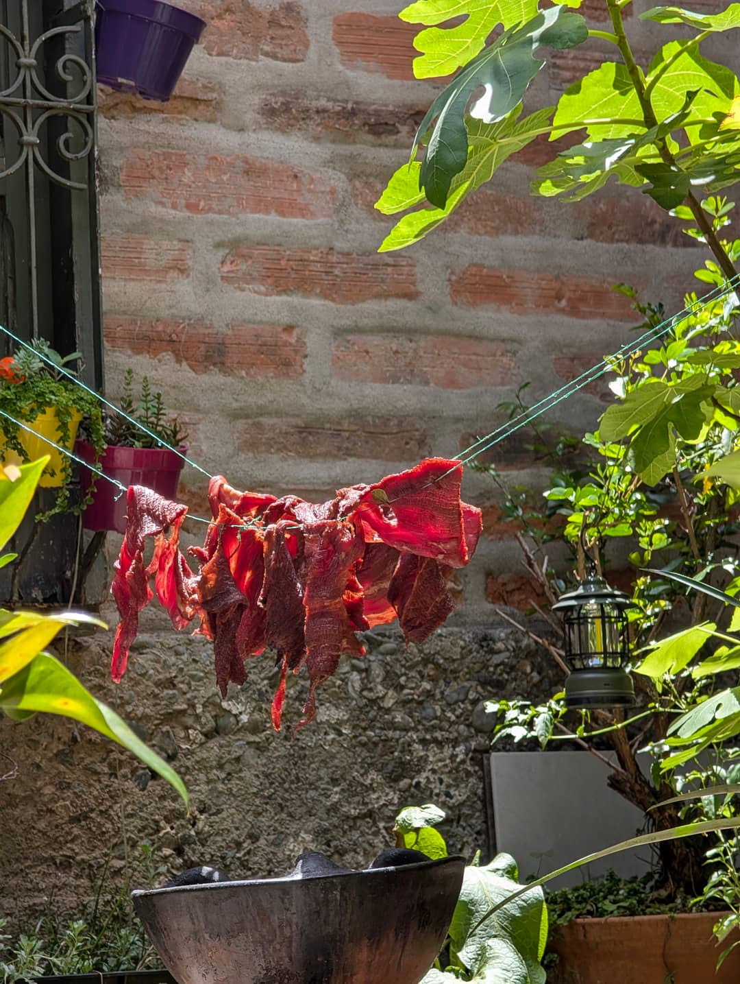 Carne oreada. Hovězí se suší na šňůře na dvoře restaurace.
