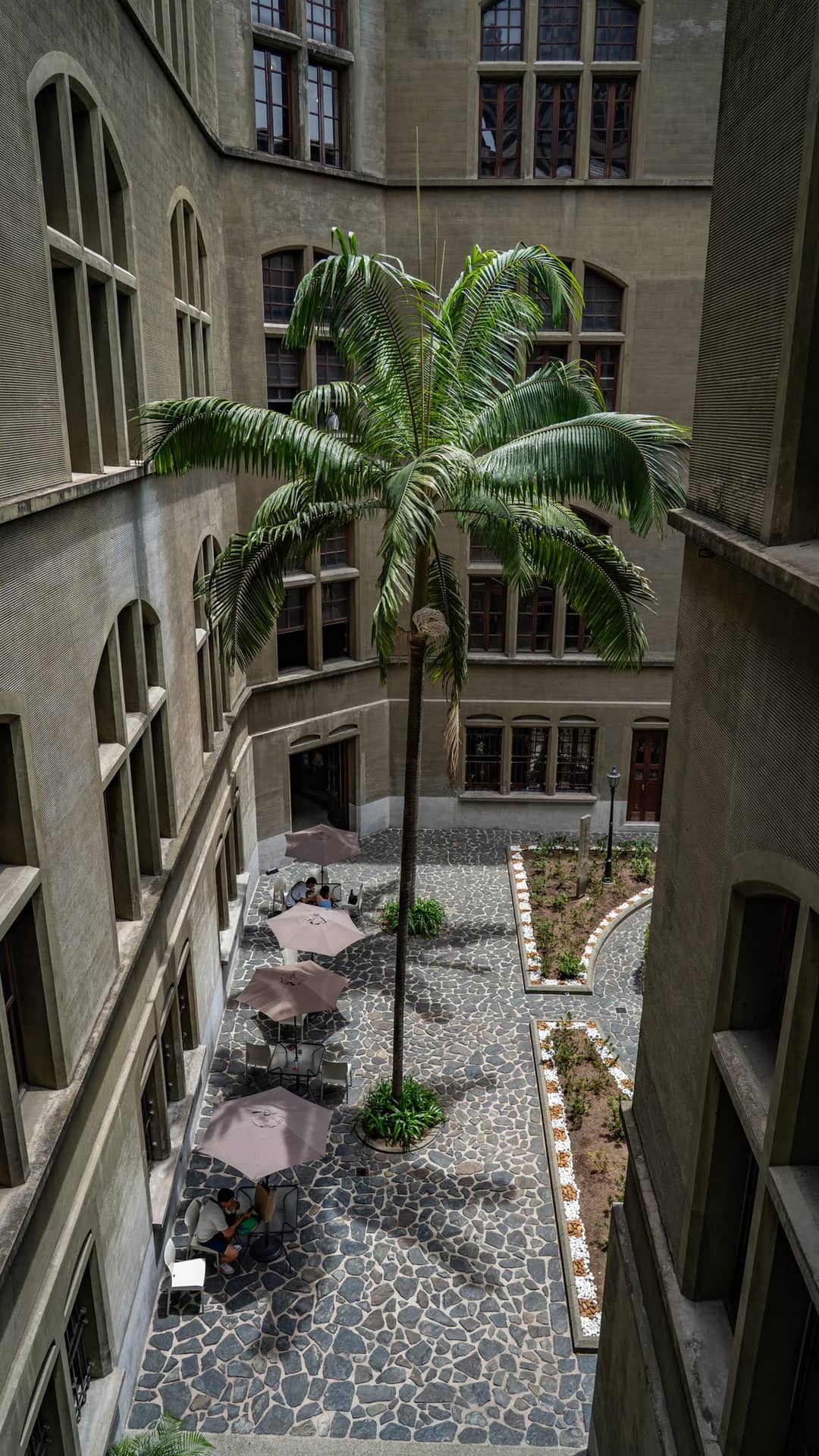 The octagonal courtyard with a palm in the middle.