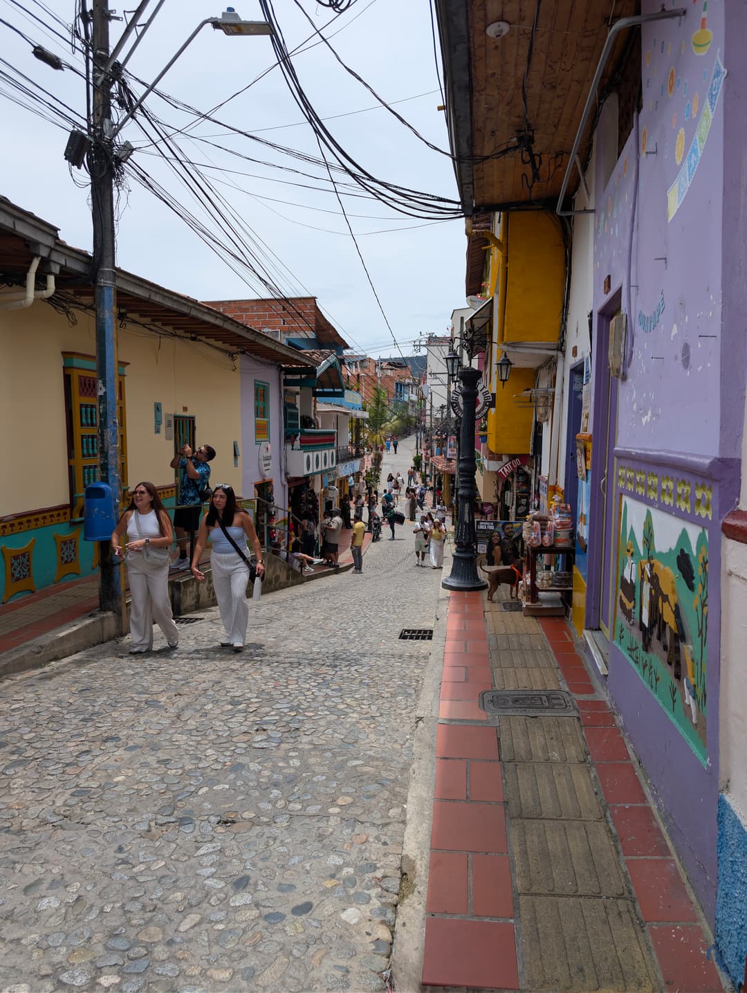 A cobbled street between painted houses.