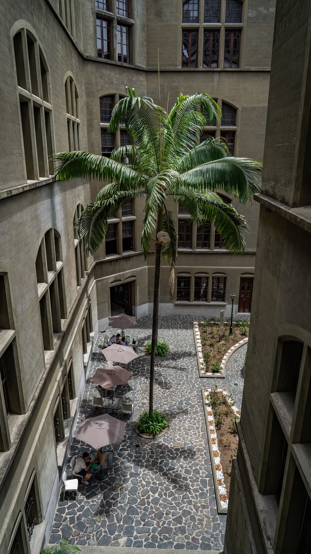 The octagonal courtyard with a palm in the middle.