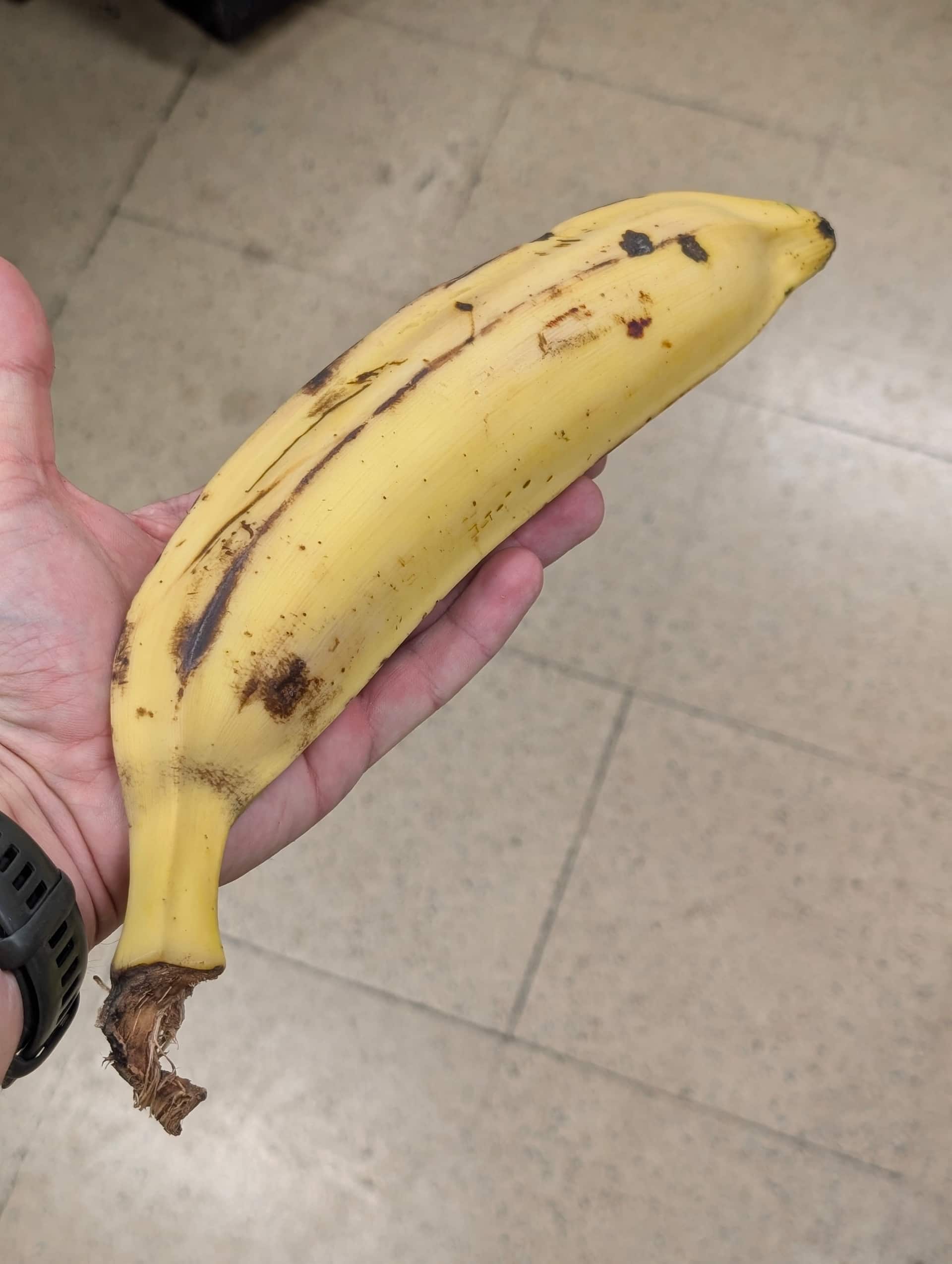 Plátano maduro: žlutý, měkký a sladký. Smaží se na plátky.